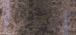 black_maple